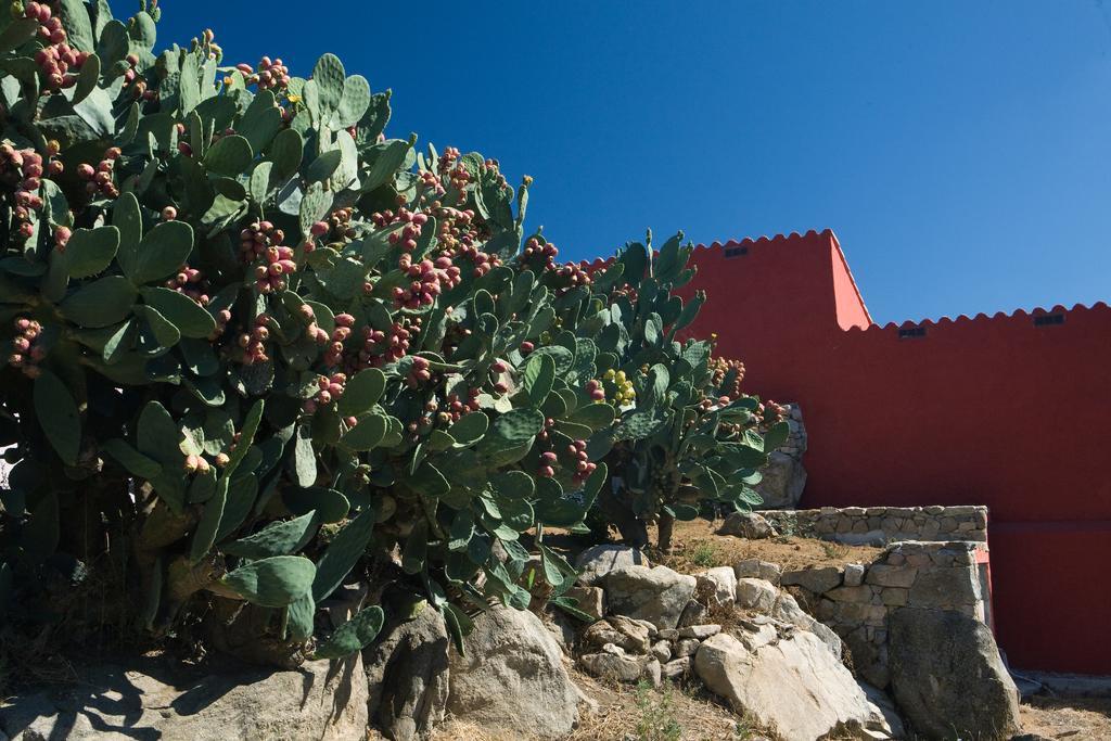 Liscia Country Relais Hostal Sant'Antonio di Gallura Exterior foto